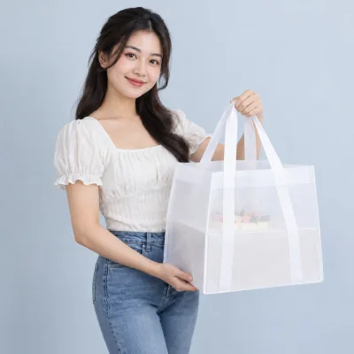 Túi Không Dệt Đựng Hộp Bánh Kem – ảnh sản phẩm với người mẫu Việt Nam